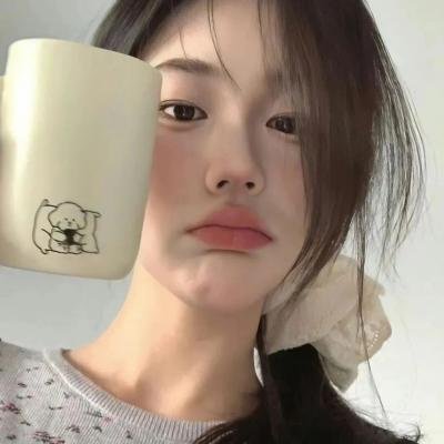 狮子护卫队第一季